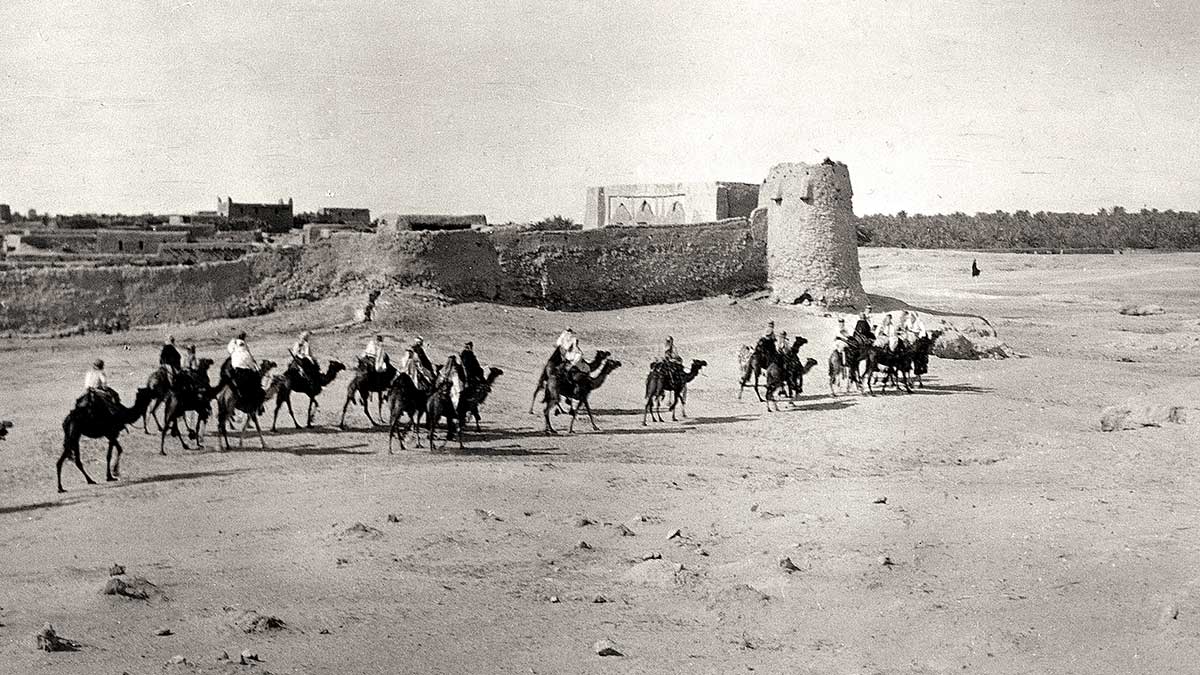 Camels 1924