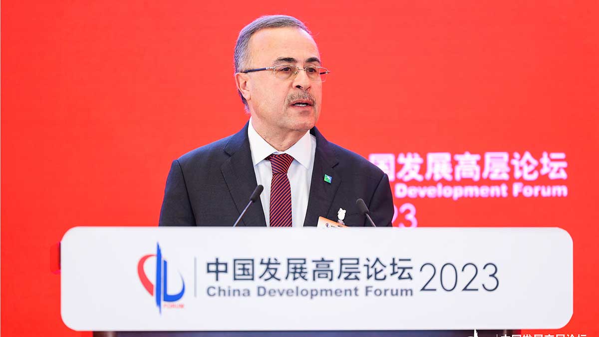 CEO at china development forum