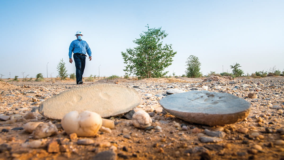 Combating desertification - Aramco Life