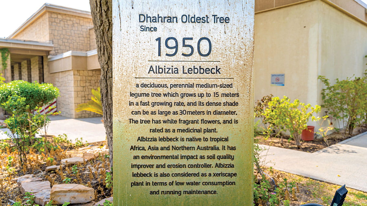 Dhahran-Community-oldest-tree-plaque