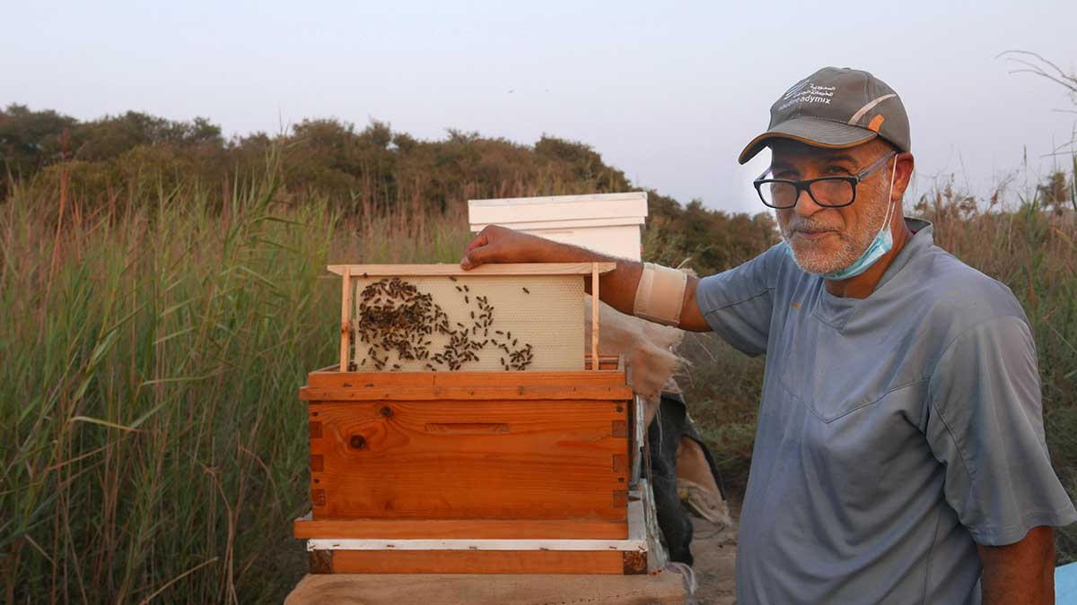 Eastern Province travel mangrove honey beekeeper