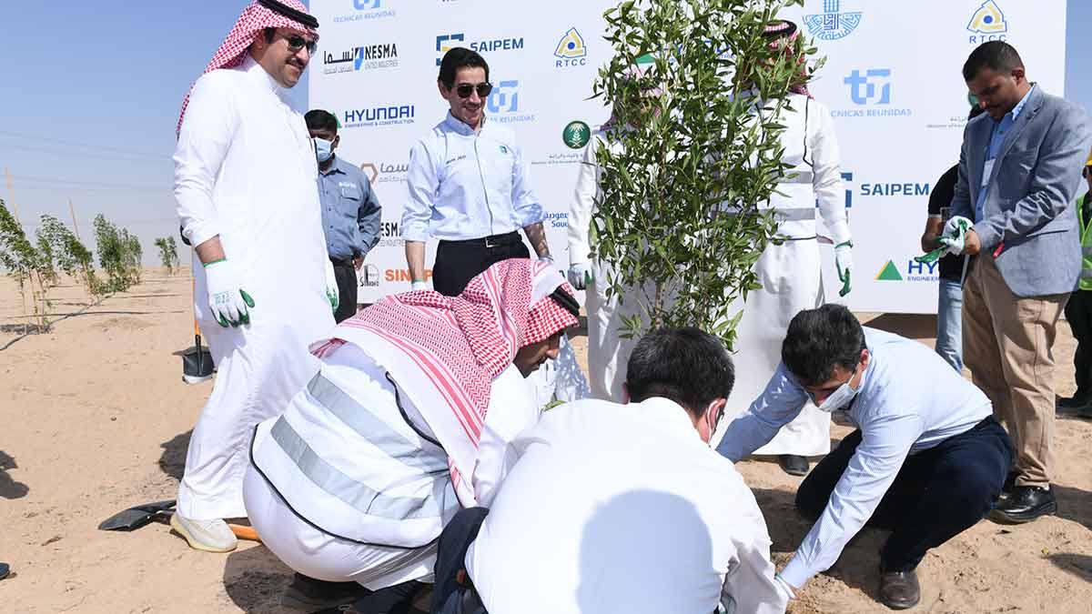 Tanajib Oasis tree planting program Aramco