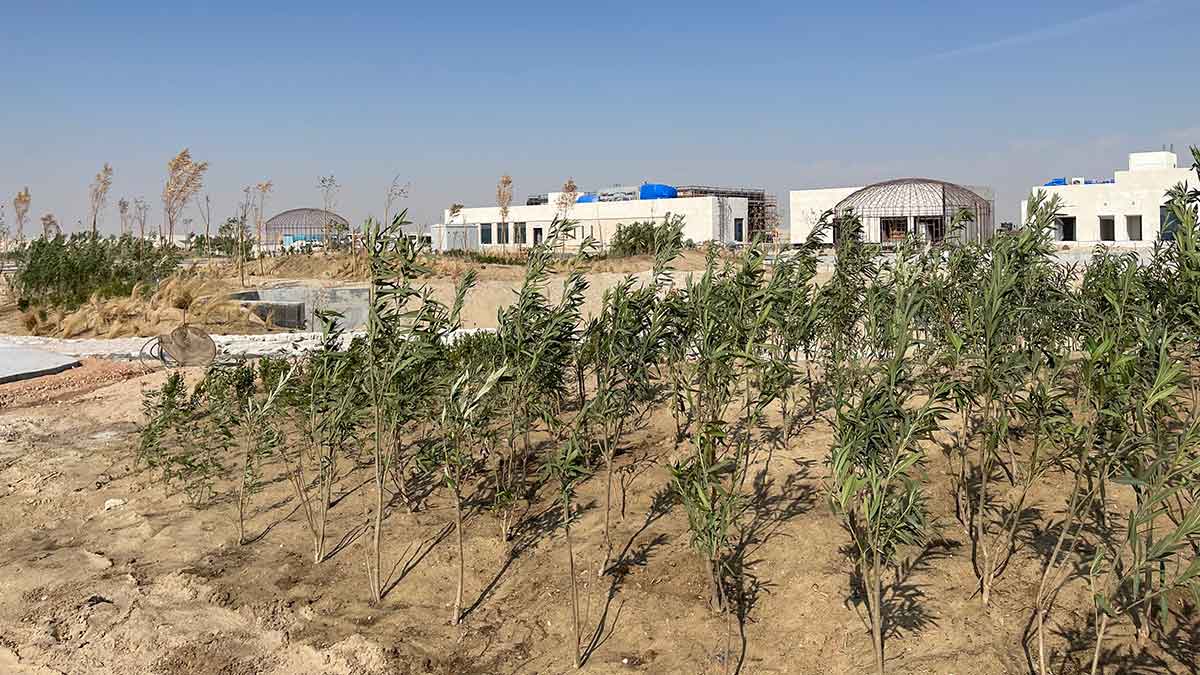 Aramco Project Management planting trees at projects Kingdomwide