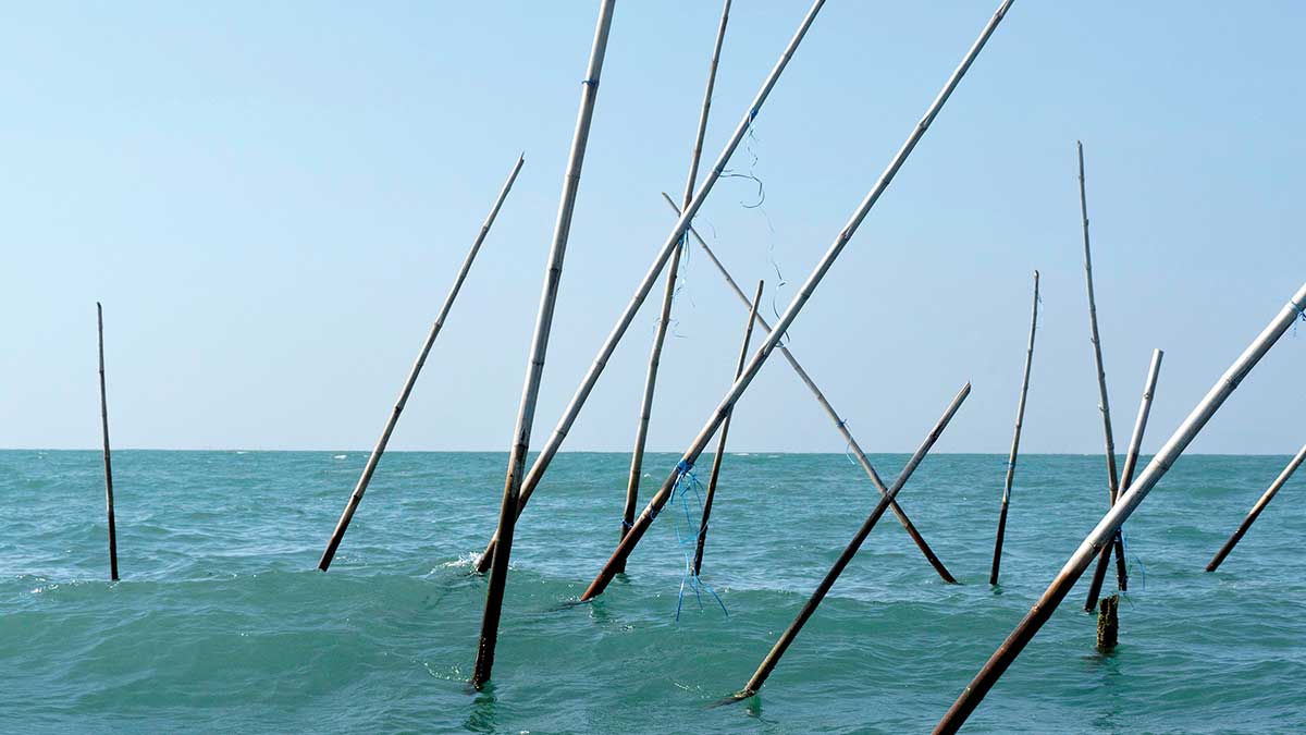 Indonesia travel bamboo poles