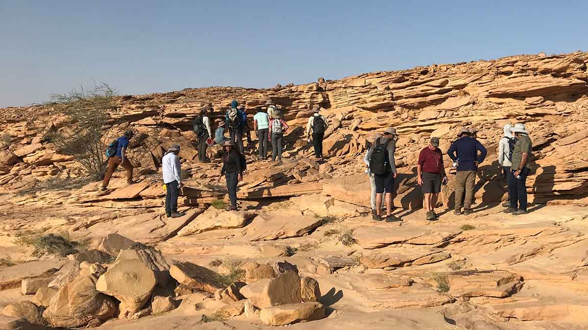 Aramco Americas Field Seminar Cambrian Amin Formation in Wadi Sumaynah