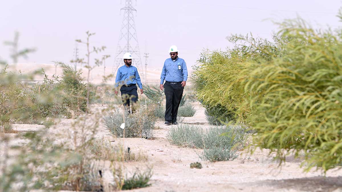 Ahmed A. Naim Aramco at 'Udhailiyah biodiversity park