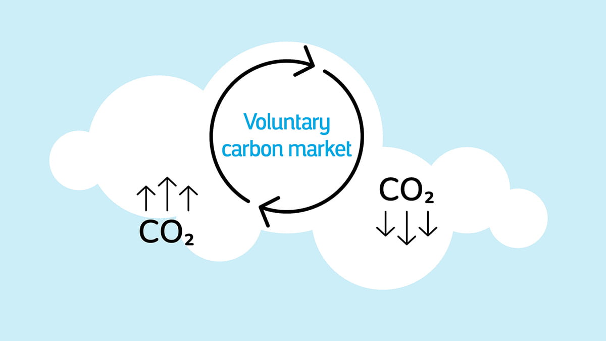 How does the voluntary carbon market help us move toward decarbonization?