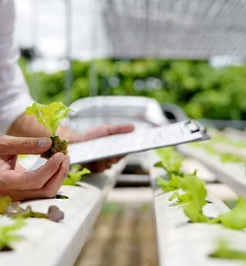 Aramco Europe Citizenship Program supports Rotterdam Floating Farm circular agriculture project